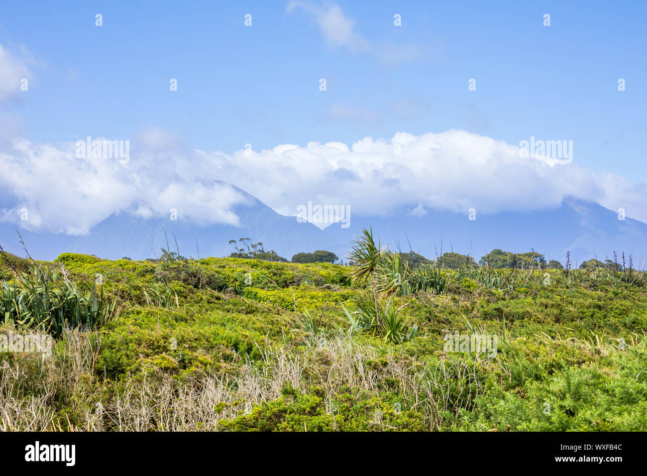 Paysage paysage dans le sud de la Nouvelle Zélande Banque D'Images