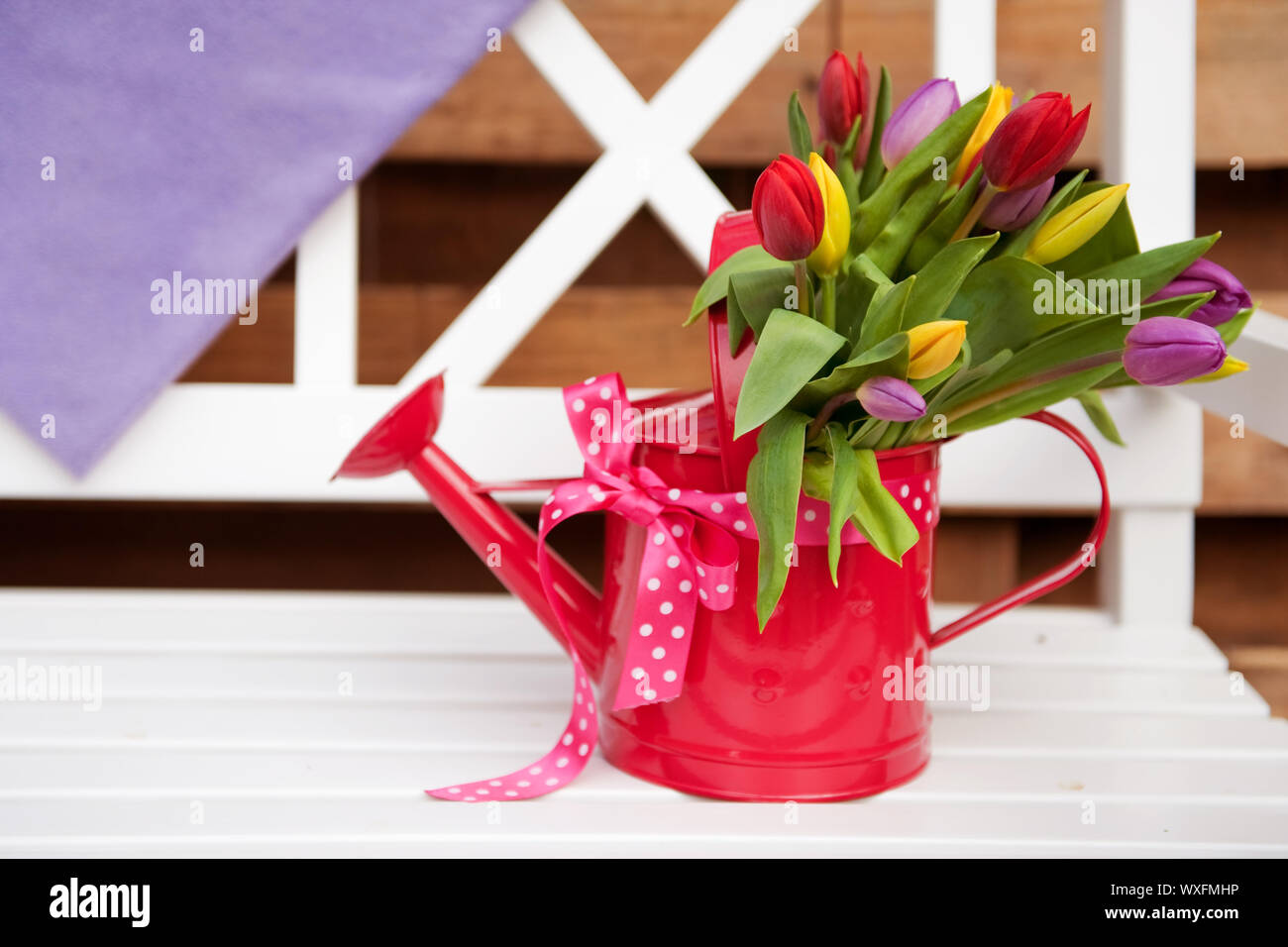 Arrosoir rose décorative avec gai bouquet de tulipes sur banc de la piscine Banque D'Images