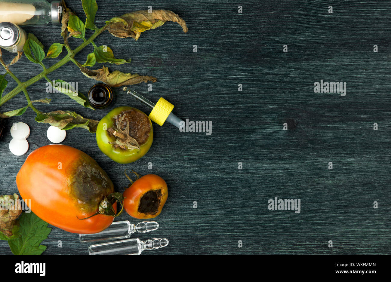 Des légumes sur l'arrière-plan. Légumes MALADES SUR UNE SURFACE EN BOIS. COPY SPACE Banque D'Images