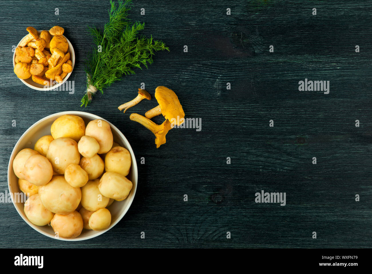 Les champignons frais avec des épices et herbes sur tableau noir. Vue de dessus. Copier l'espace. Banque D'Images