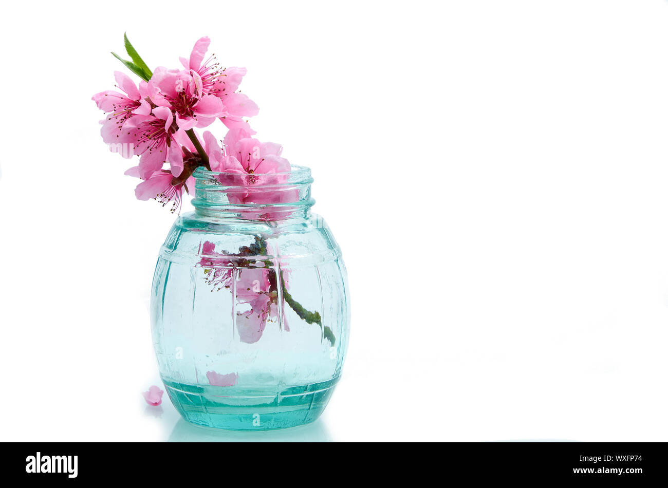 Les fleurs de printemps dans un vase en verre blanc à isoler Banque D'Images