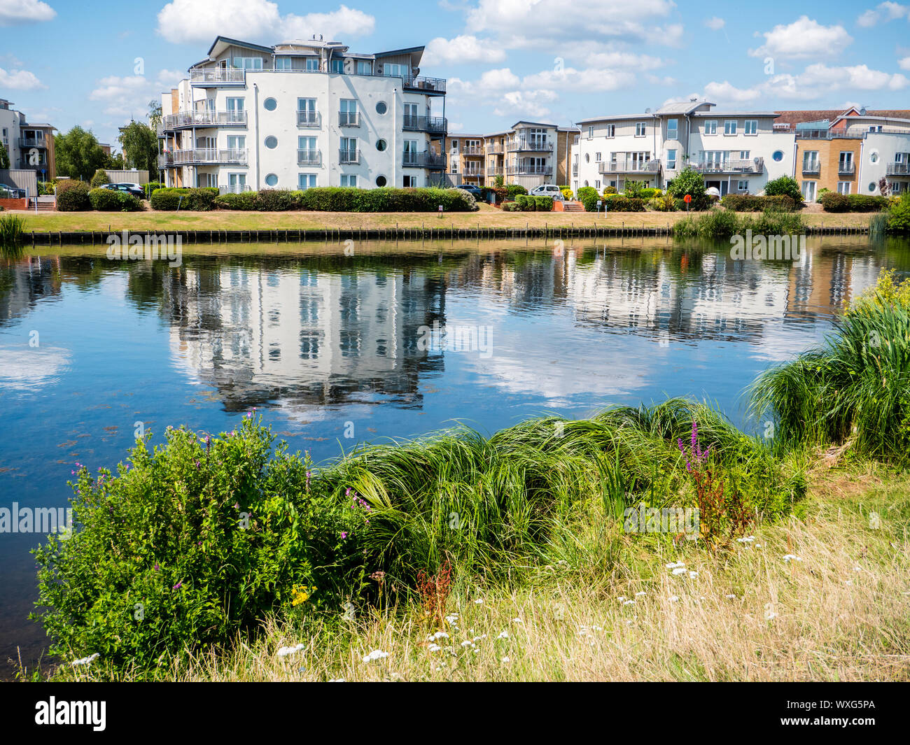 Quai pont vu de l'Dumsey pré, sur la Tamise, Chertsey, Surrey, Angleterre, RU, FR. Banque D'Images