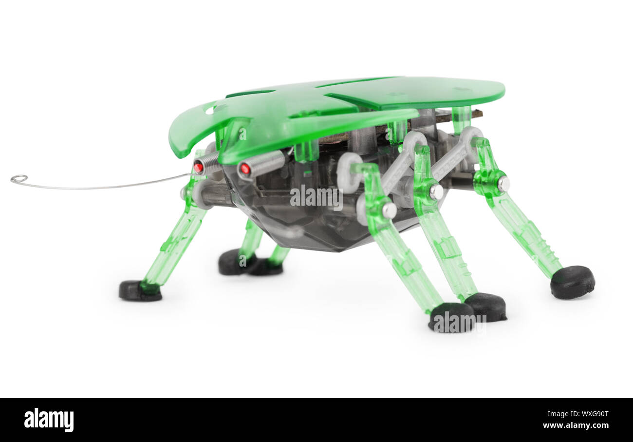 Jouet robot cyber - insecte isolé sur fond blanc Banque D'Images