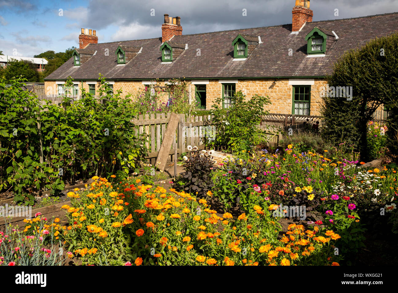 UK, County Durham, Beamish, musée, Pit, Francis Street Village fleuri, Miner's Cottage jardin de devant Banque D'Images