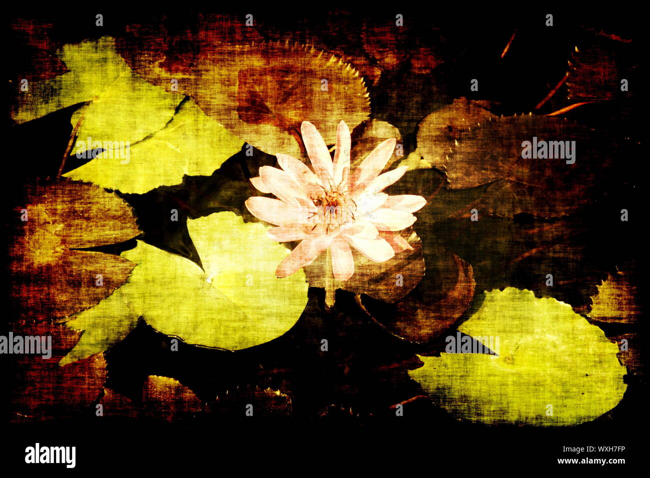 En Tant Qu Abstrait Zen Apaisante Nature Background Photo Stock Alamy