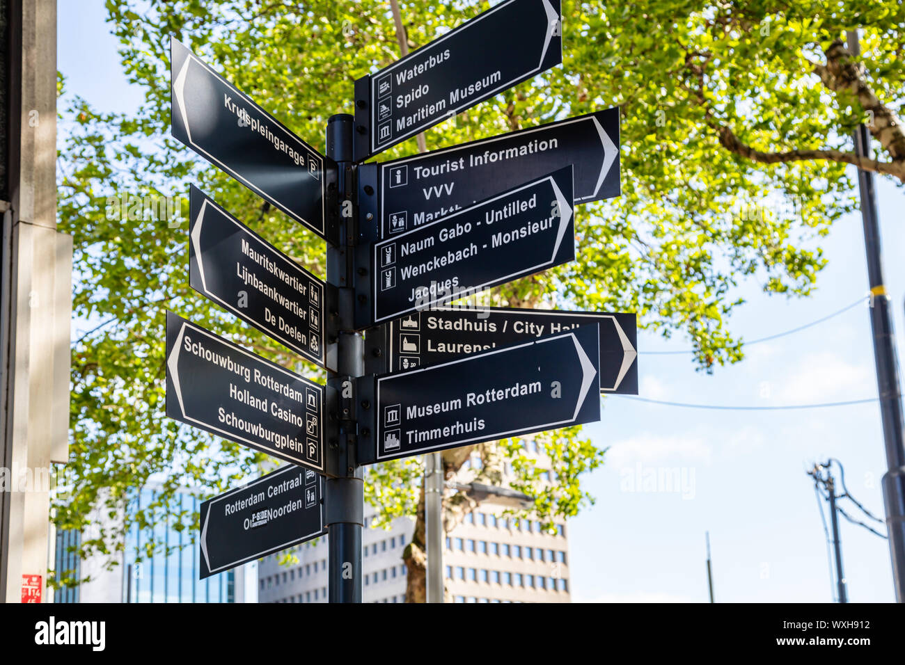 Rotterdam, Pays-Bas. Le 27 juin 2019. Panneau direction rue en face d'un arbre. La lumière du soleil et l'arrière-plan urbain, vue en gros plan. Banque D'Images
