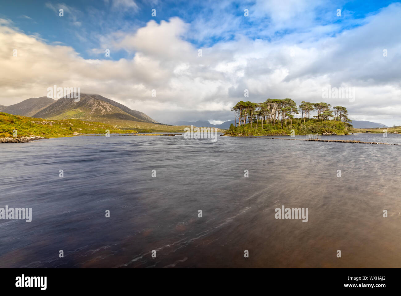 L'île des Pins en Derryclare Lough dans le Parc National du Connemara, Irlande Banque D'Images