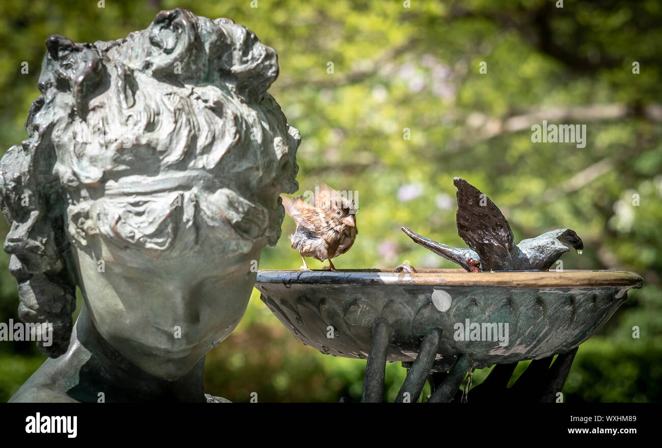 Vue rapprochée de la fontaine Burnett dans Central Park, avec des oiseaux de l'archet. La statue rend hommage à l'auteur du livre pour enfants de Frances Eliza H Banque D'Images