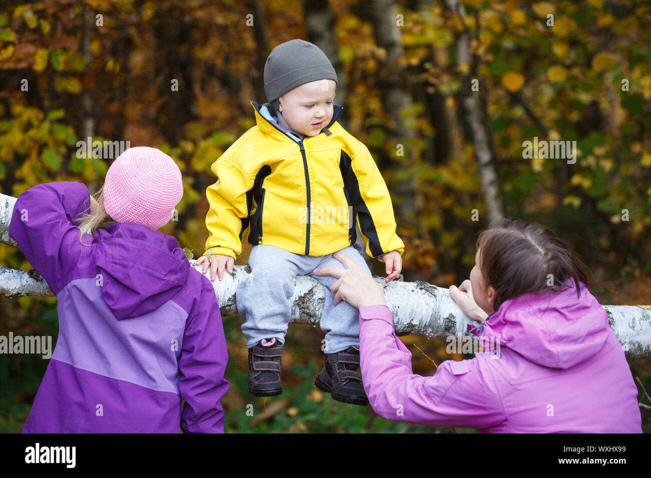 Mère avec enfants ensemble dans la nature sur une belle journée d'automne. Notion de famille. Banque D'Images