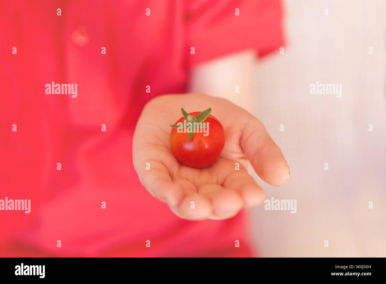 Boy holding a tomato Banque D'Images