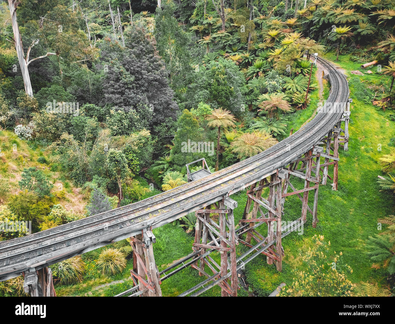 Le ruisseau de Monbulk pont sur chevalets, Dandenong Ranges, Victoria, Australie Banque D'Images