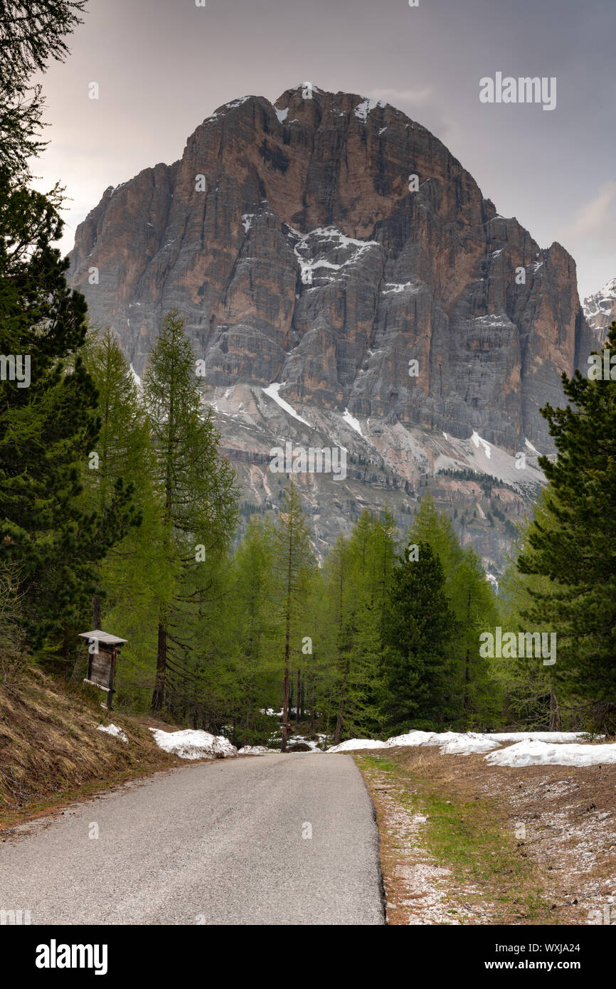 Route menant à la montagne, Dolomites, Padova, Veneto, Italie Banque D'Images