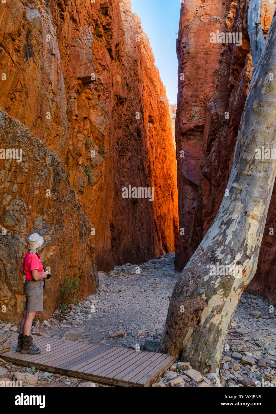 Femme de prendre une photo, Standley Chasm, West MacDonnell National Park, Territoire du Nord, Australie Banque D'Images