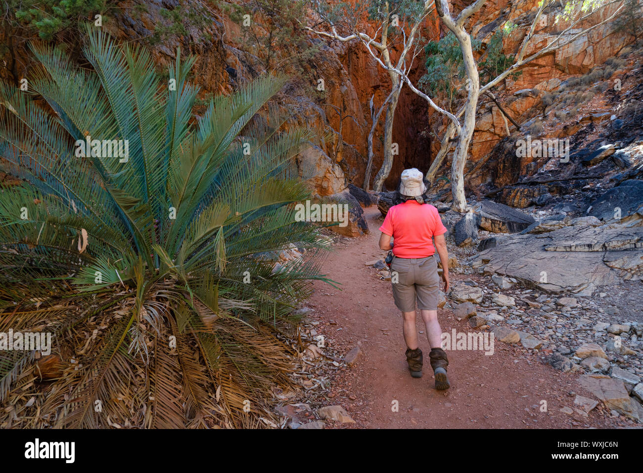 Femme marche vers Standley Chasm, West MacDonnell National Park, Territoire du Nord, Australie Banque D'Images