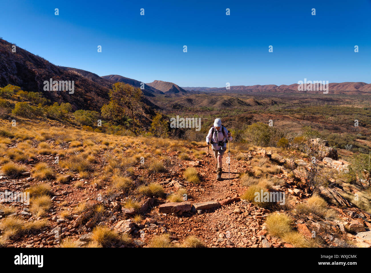Femme Randonnée sur le sentier Larapinta, West MacDonnell National Park, Territoire du Nord, Australie Banque D'Images