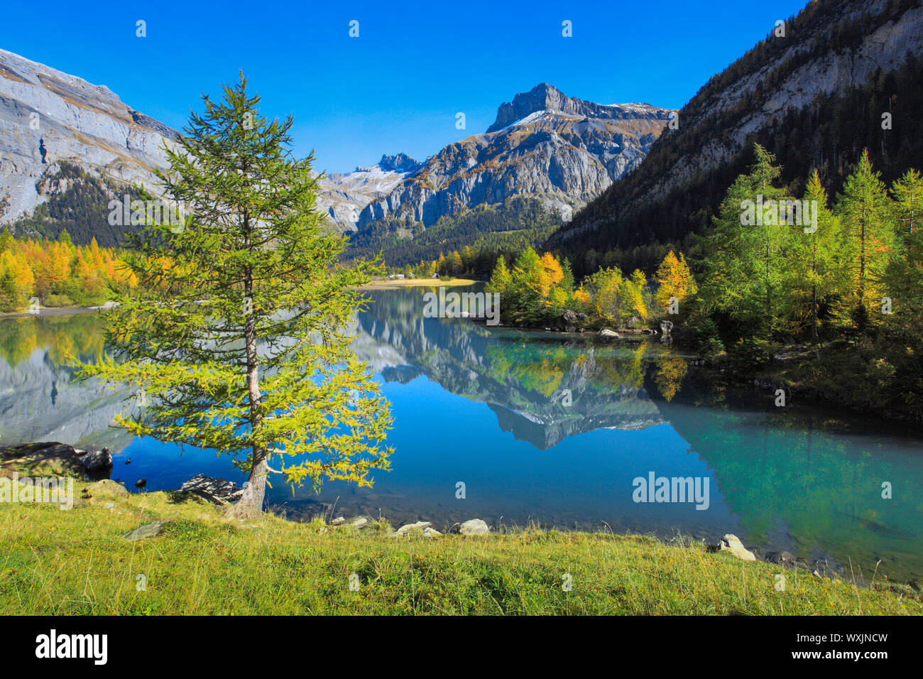 Lac de montagne Lac de Derborence et la montagne Mont Gond. Valais, Suisse  Photo Stock - Alamy
