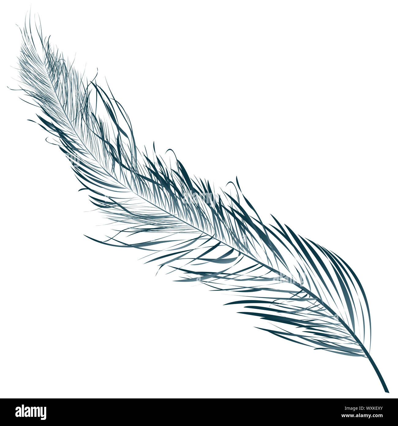 Par ailleurs, Blue Feather objet dessiné contre white Banque D'Images