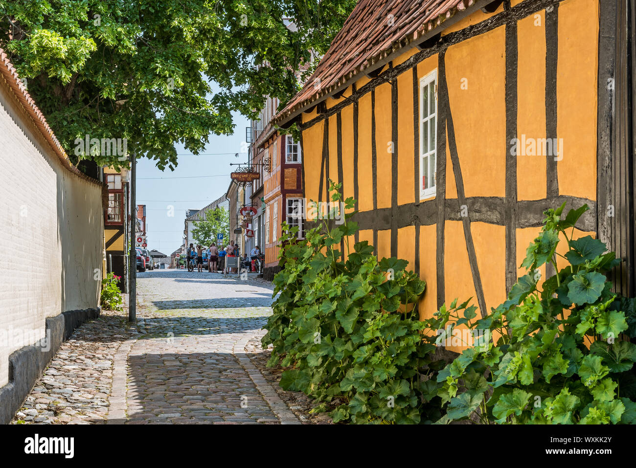 Un idyllique jaune maison à colombages avec green roses trémières, lors d'une ruelle dans le centre historique de Middelfart, Danemark, le 12 juillet 2019 Banque D'Images