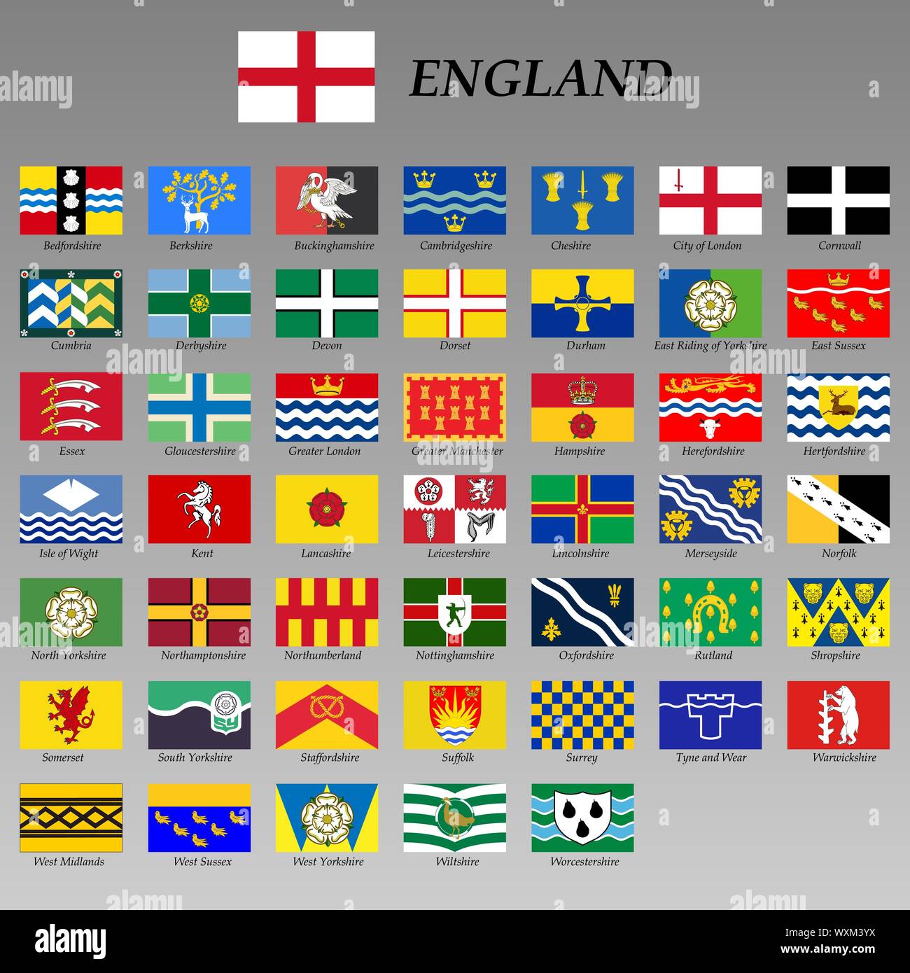 Tous les drapeaux de l'Angleterre Régions. illustrations vectorielles Illustration de Vecteur