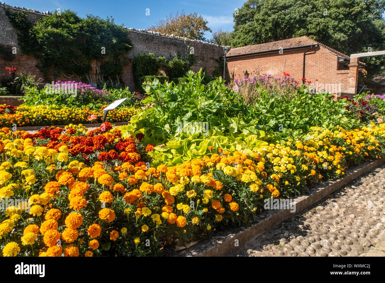 Dans les jardins de Connaught, Cornwall, Devon, UK regency seaside town. Banque D'Images