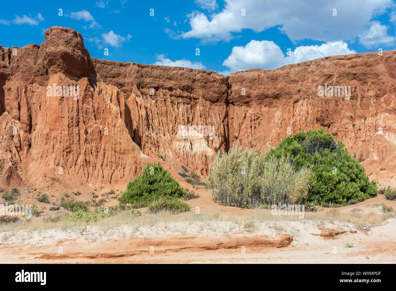 Falaises magnifiques sur une plage à Albufeira dans l'Algarve Banque D'Images