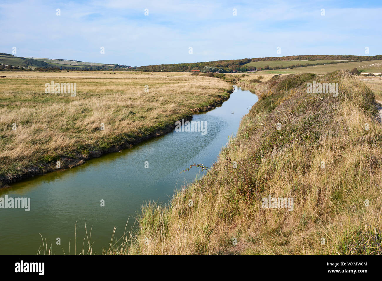 La Cuckmere Valley près de Eastbourne, East Sussex, Angleterre du Sud, à au nord vers Exceat Banque D'Images