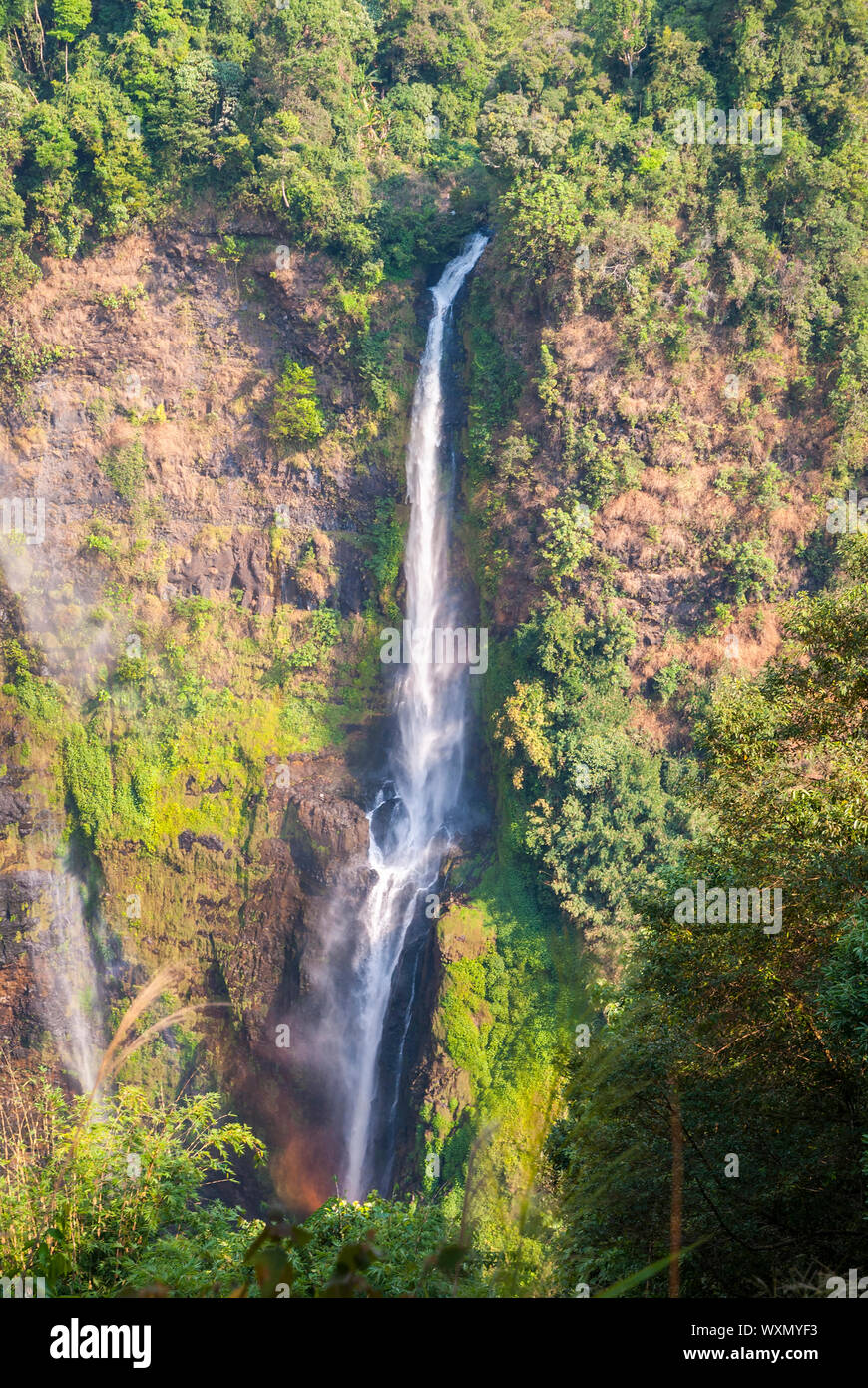 Superbe cascade de Tad Fane, ci-dessus, le Laos Paksong Banque D'Images