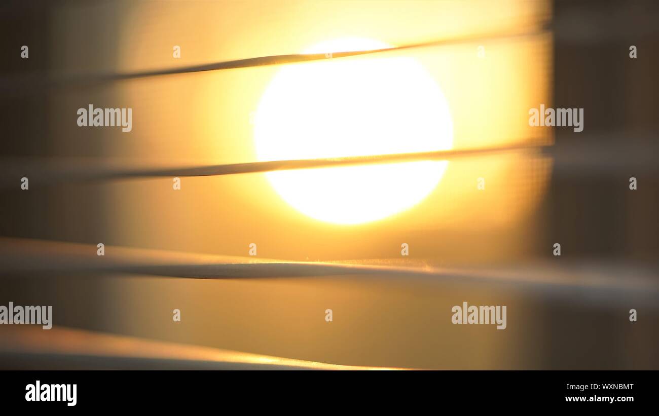 Coucher de soleil derrière stores horizontaux, macro shot Banque D'Images
