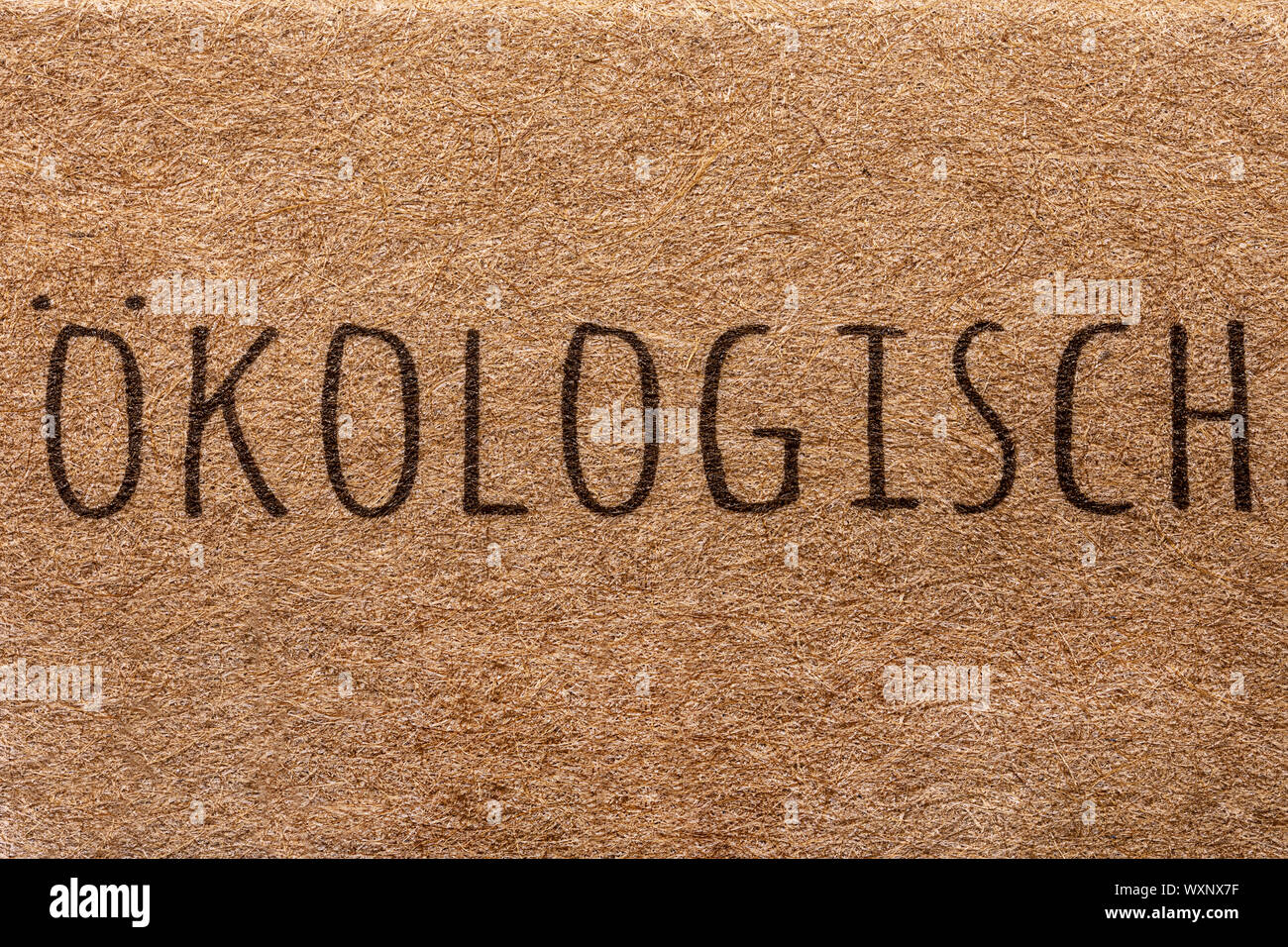 'Texte' ökologisch écrit sur fond de bambou naturel, écologique traduit : Banque D'Images