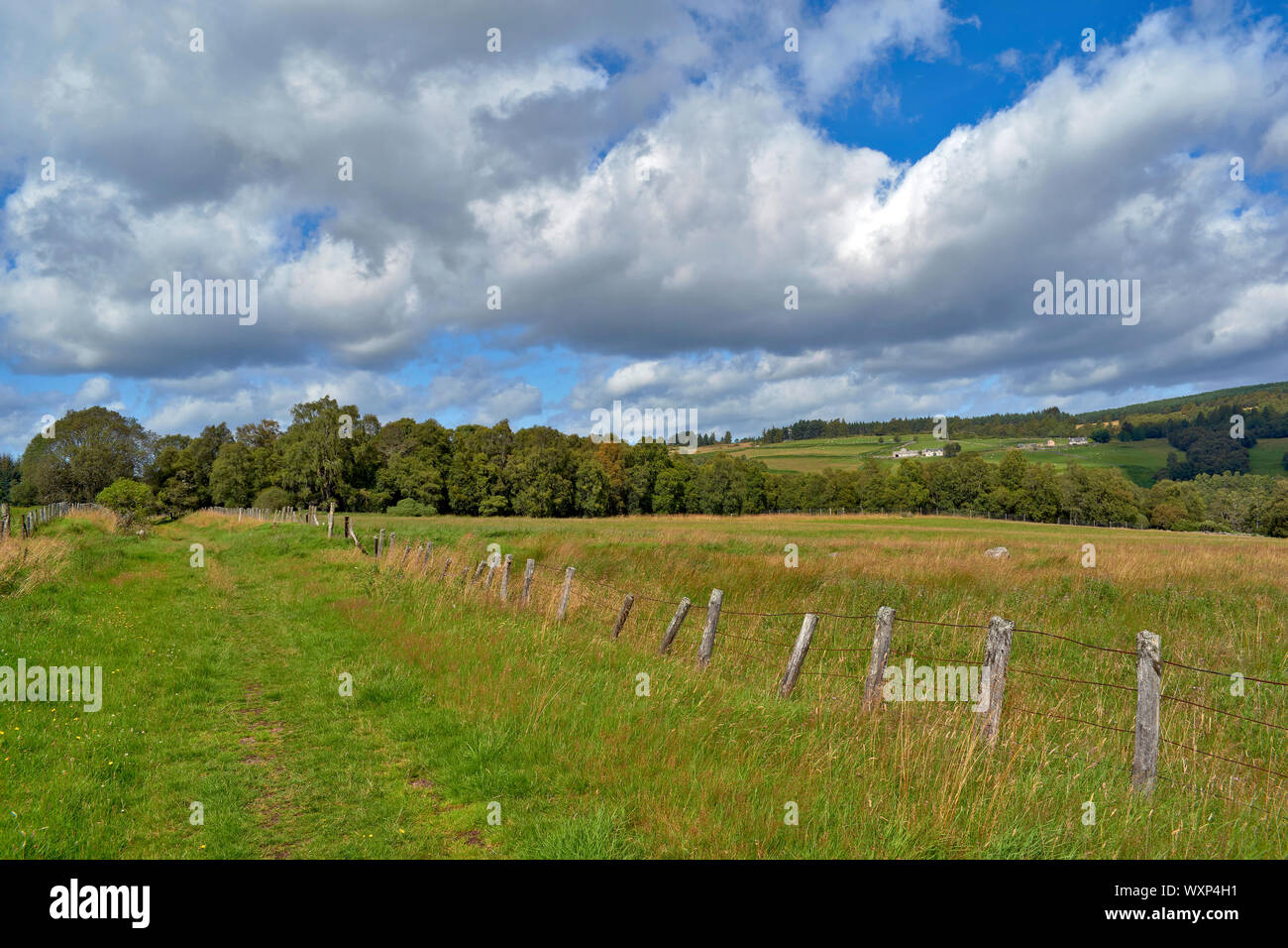 DAVA WAY À PIED OU TRAIL À DAVA Grantown on Spey MORAY ECOSSE LE SENTIER PASSANT LES TERRES AGRICOLES OUVERTES ET LA CAMPAGNE PRÈS DE GRANTOWN Banque D'Images