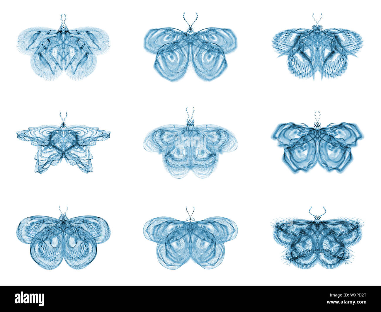 Série Papillons fractale. Abstract design fait de papillons fractale isolé sur le sujet de la science, la créativité et la conception Banque D'Images
