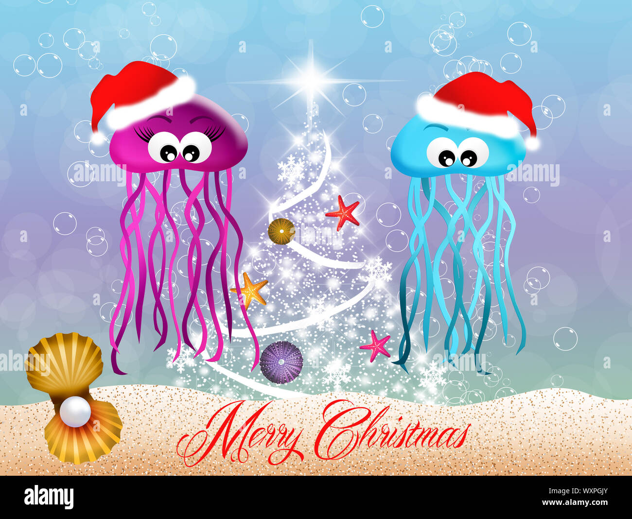 Méduses à Noël Banque D'Images