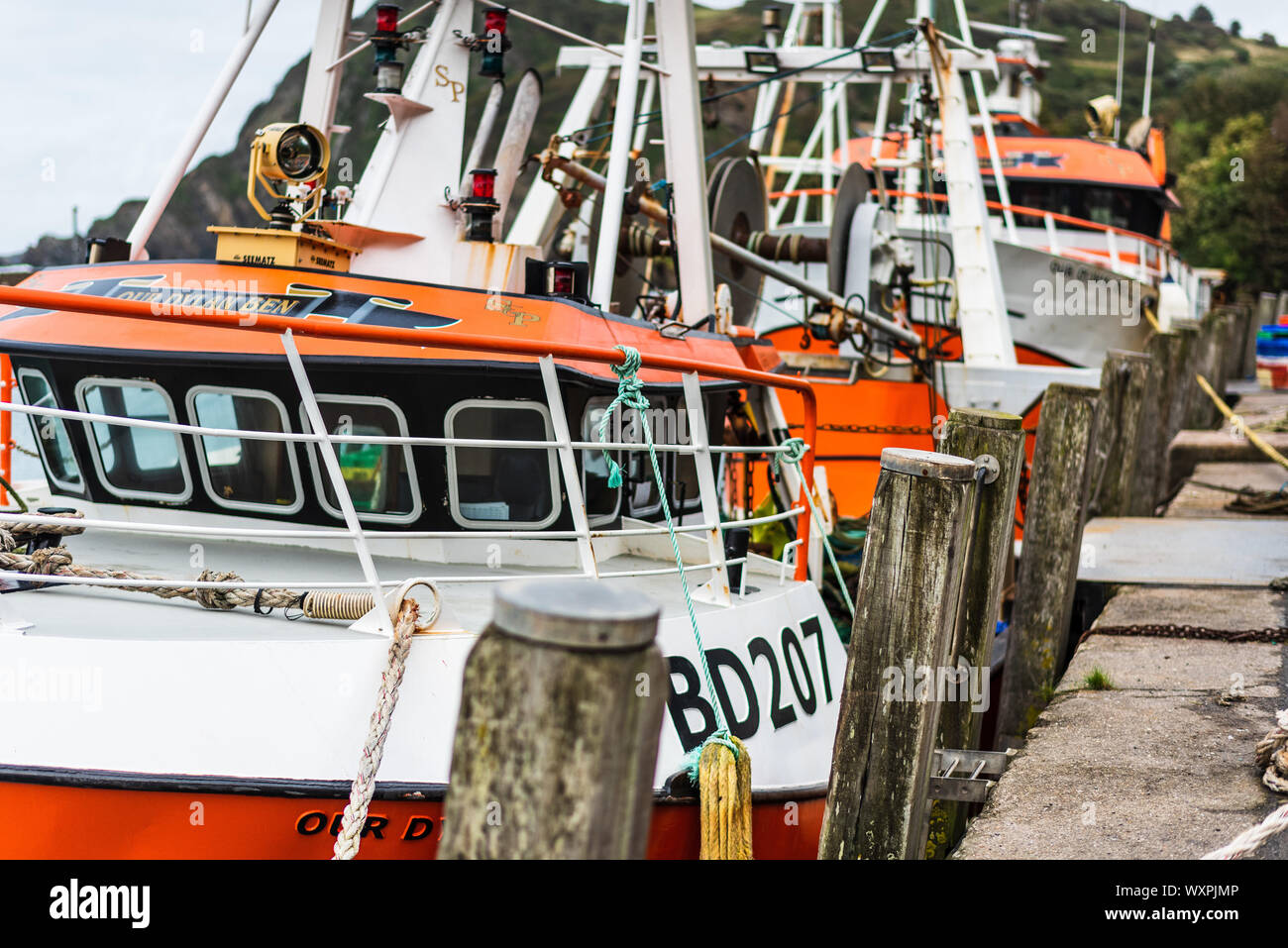 Les chalutiers de pêche côtière appartenant à S&P Chalutiers amarrés au port d'Ilfracombe quay dans le Nord du Devon. Banque D'Images