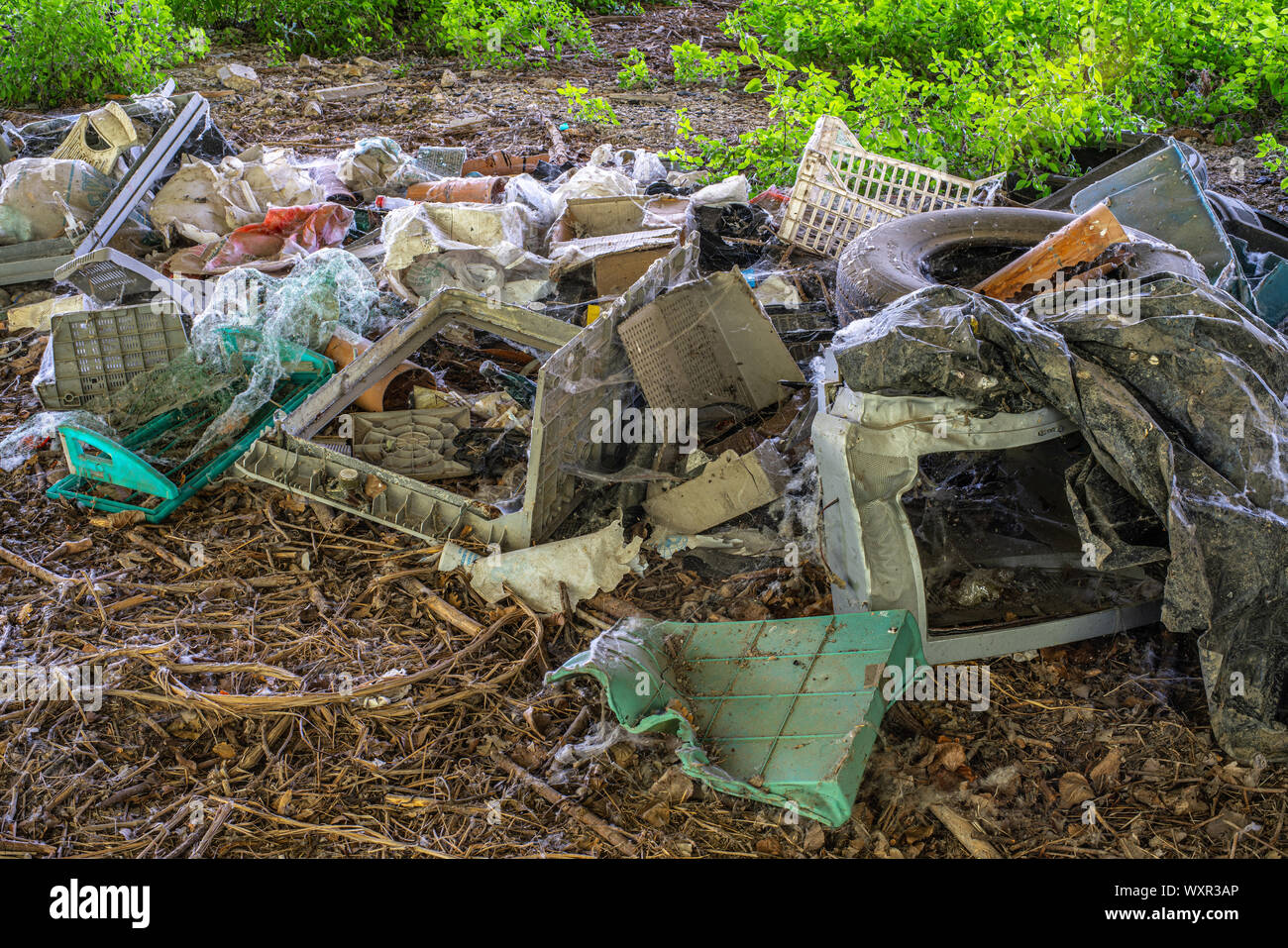 Vieux tas de détritus, décharge illégale Banque D'Images