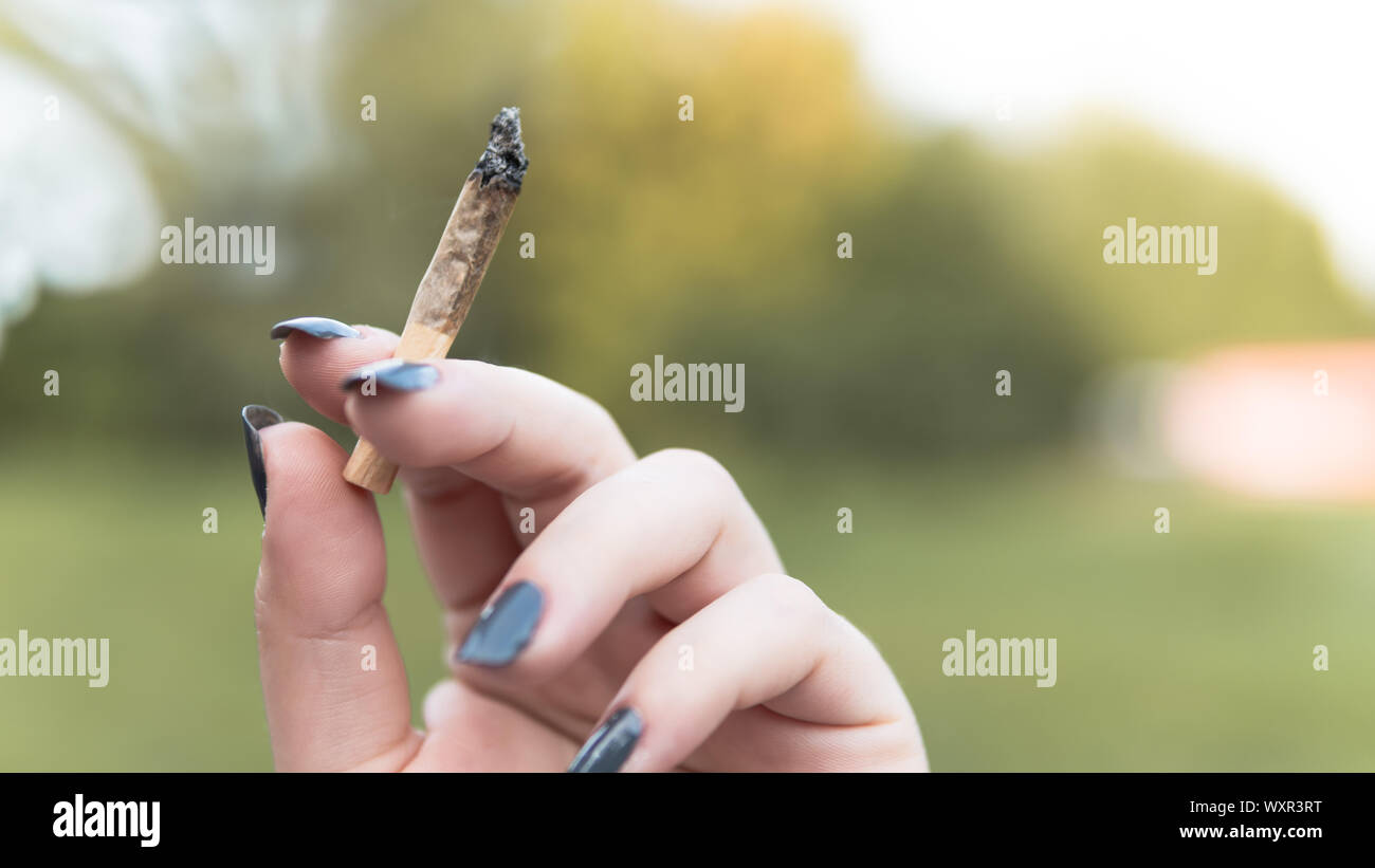 Close-up de femelles mains tenant conjoint marijuana, cannabis blunt à l'extérieur. Le cannabis est un concept de médecine de fines herbes Banque D'Images