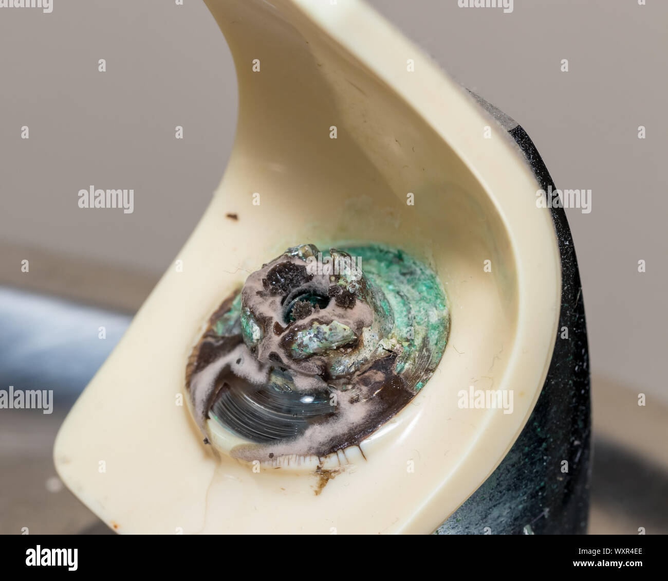 Moisissure D'eau Banque D'image Et Photos - Alamy