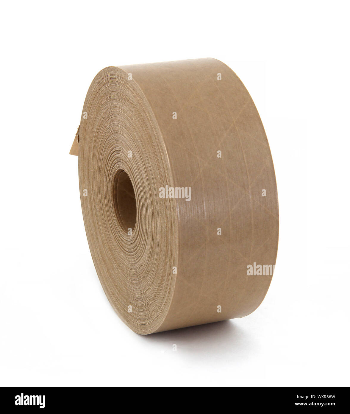 1.000 Fils D'agrafage En Plastique Noir (40 Mm) Pour L'étiqueteuse Standard - Pour L'étiquetage