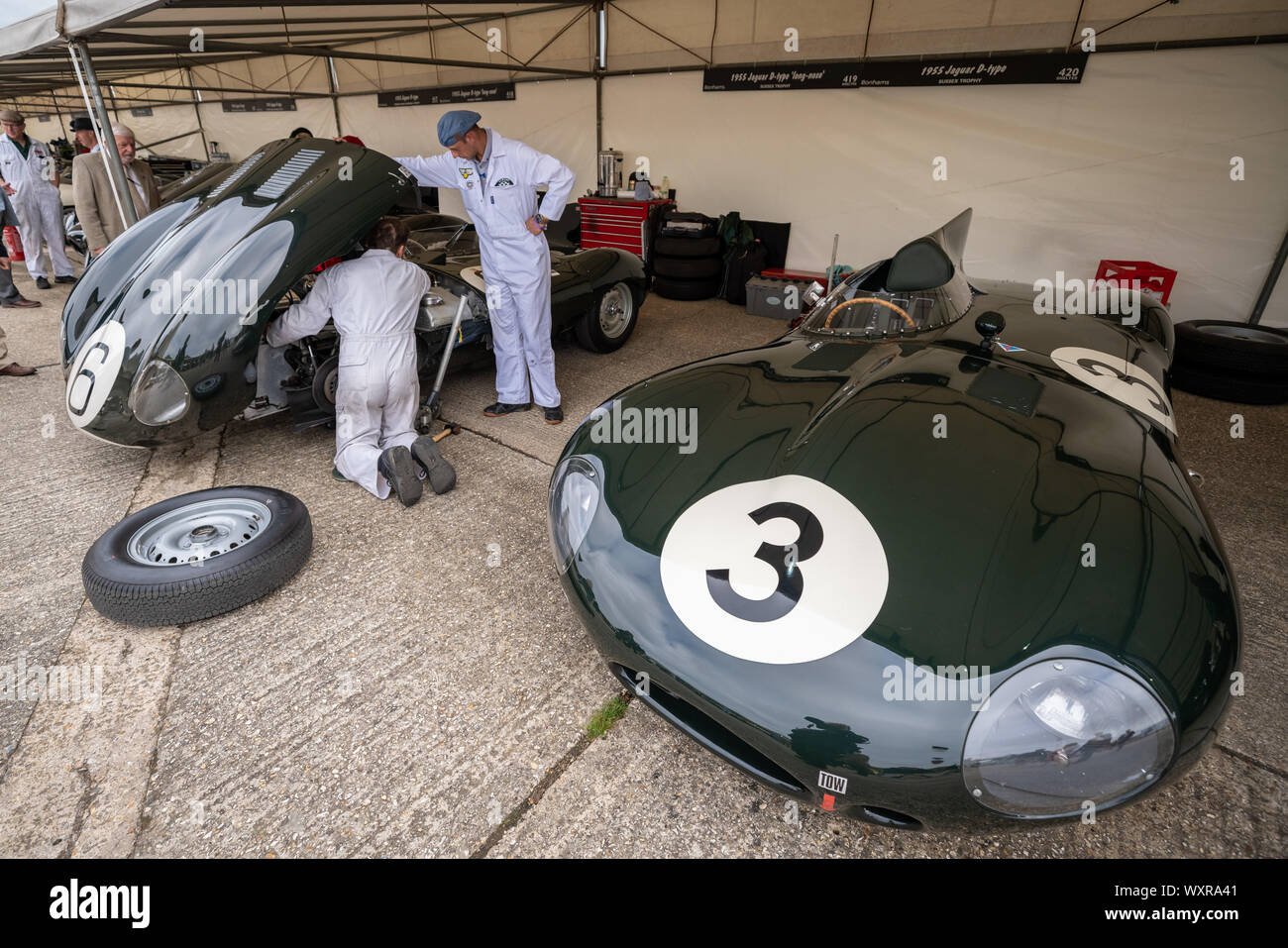 Jaguar D Type. Voitures anciennes des années 30 aux années 50 dans le paddock durant le festival de Goodwood Revival, au Royaume-Uni. Banque D'Images
