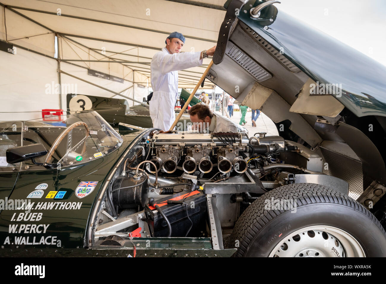 Jaguar D Type. Voitures anciennes des années 30 aux années 50 dans le paddock durant le festival de Goodwood Revival, au Royaume-Uni. Banque D'Images