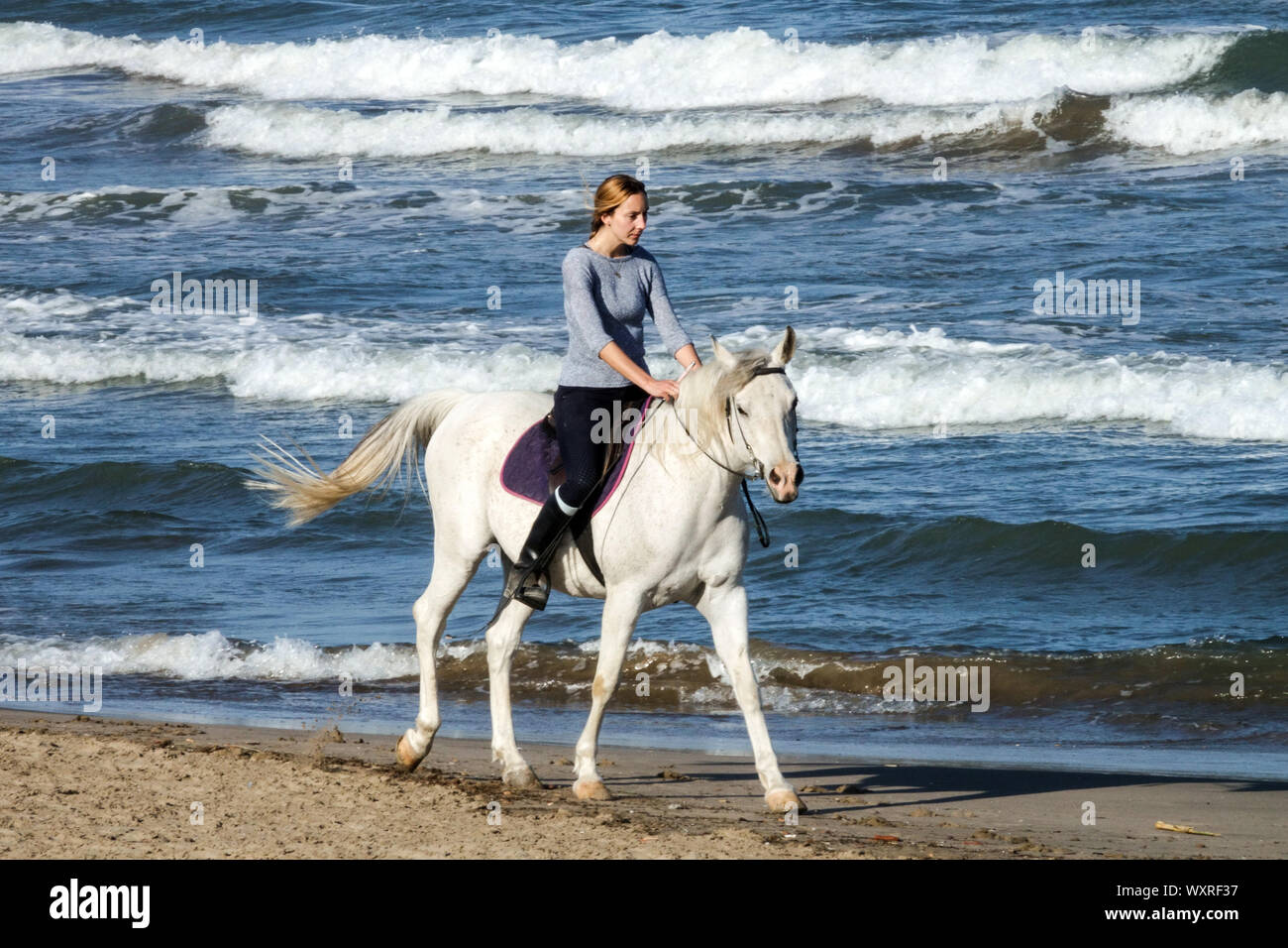 Femme à cheval sur la plage venteuse, cavalier seul Banque D'Images
