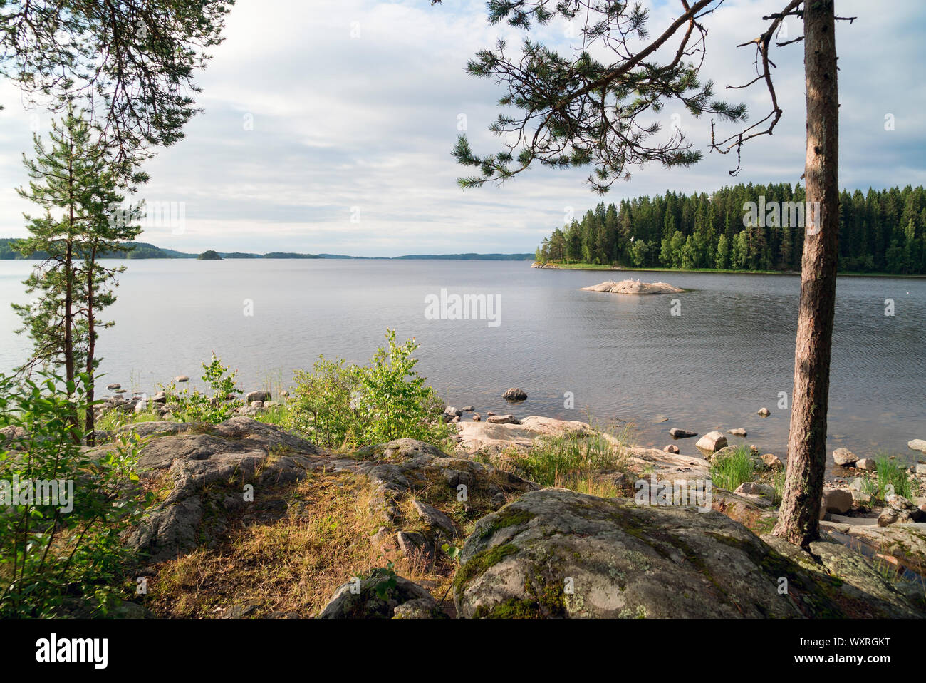Pierre pittoresque de l'île sur le lac . Skerries Ladoga, Karelia. Banque D'Images