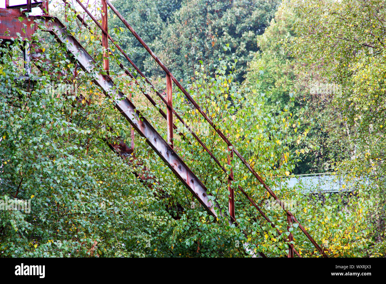 Retour à la nature, envahie par un escalier en acier Banque D'Images