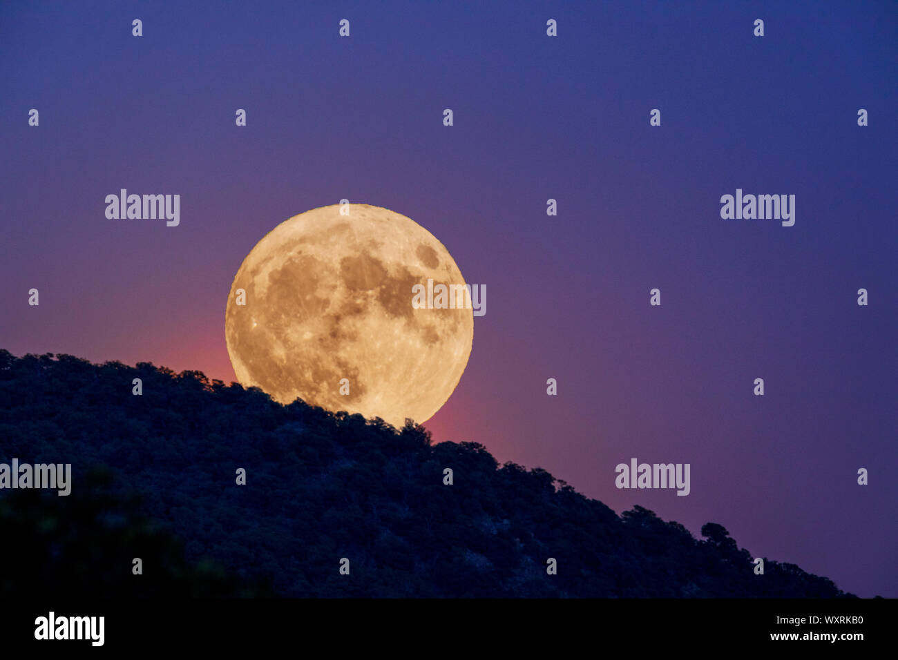 Lueur de la pleine lune de la récolte s'élève au-dessus de montagnes rocheuses ; Vendredi 13, Salida, Colorado, USA Banque D'Images