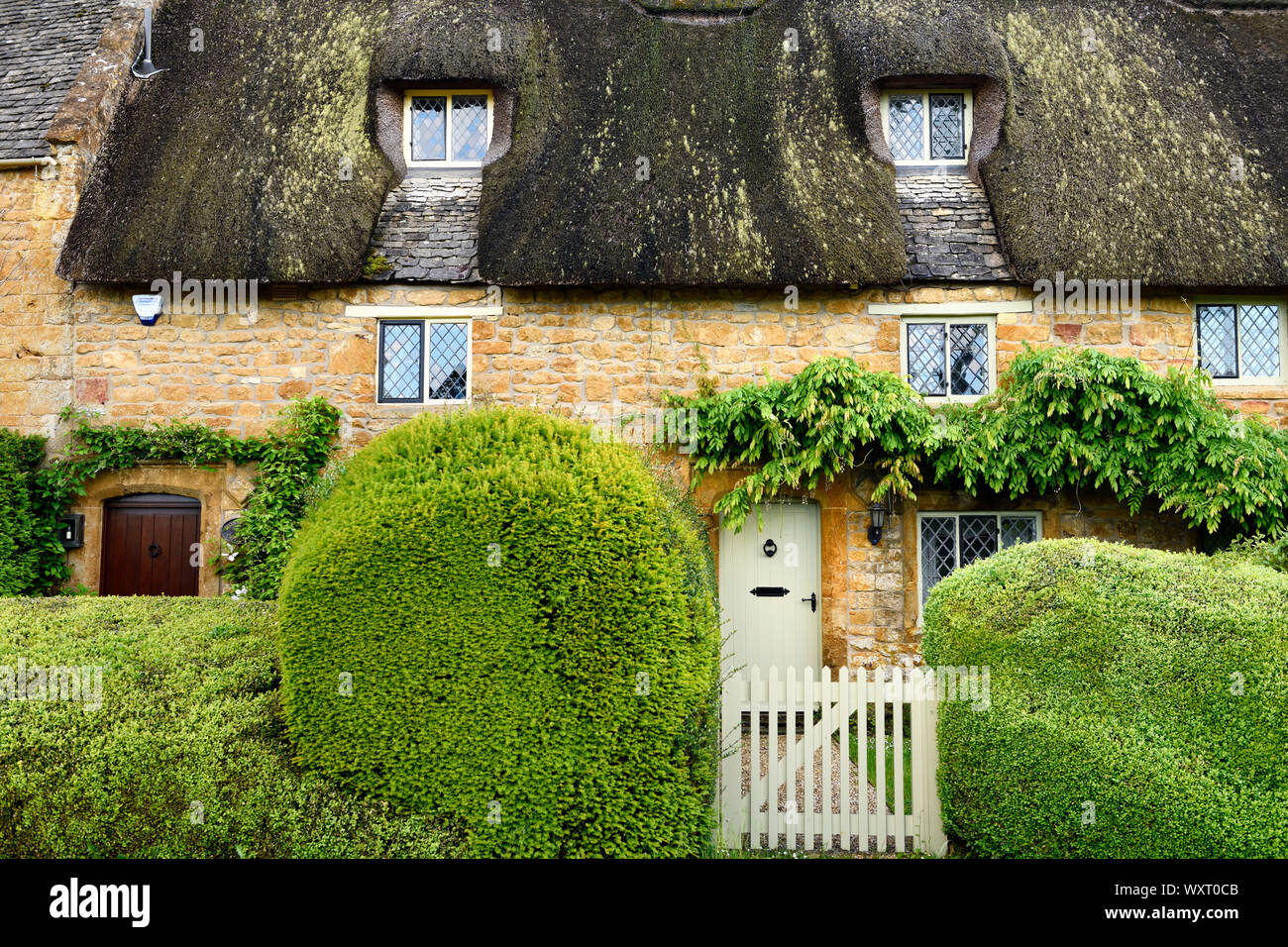 Toit de chaume historique chalet dans village Chadlington avec haies sculptées à la porte jaune et pierre de Cotswold Oxfordshire England Banque D'Images