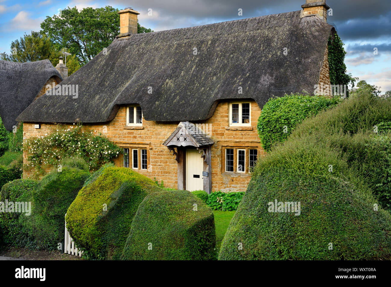 Chaumière historique dans la région de Great Tew village avec haies sculptées en pierre de Cotswold et jaune Oxfordshire England Banque D'Images