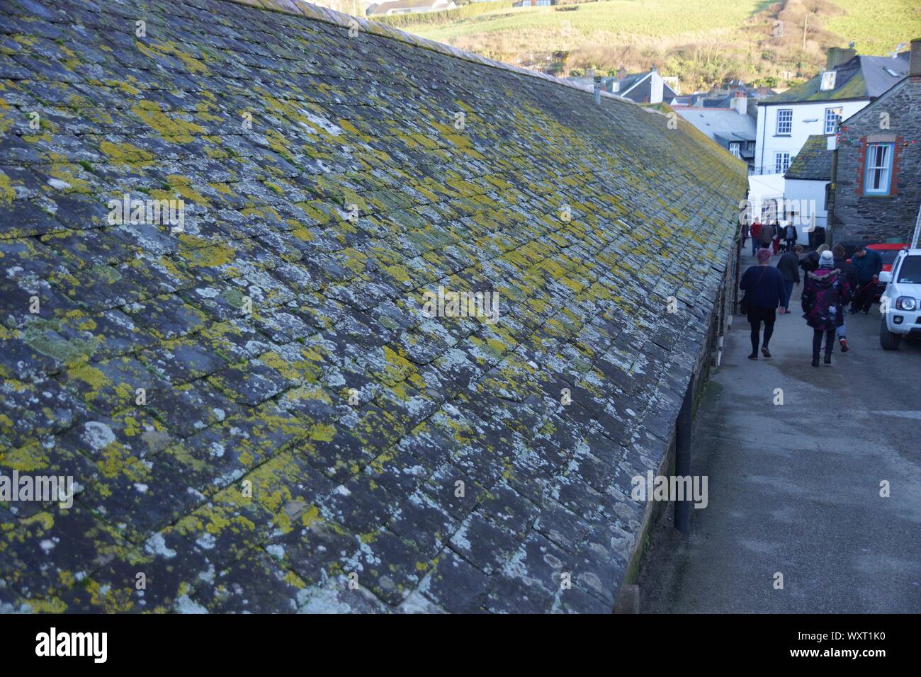 Toit en ardoise à Tintagel Cornwall Banque D'Images