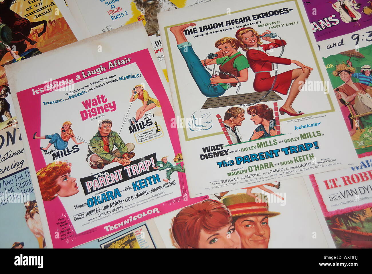 Affiche de film classique des années 1960, beaucoup de films de famille de Walt Disney. Banque D'Images