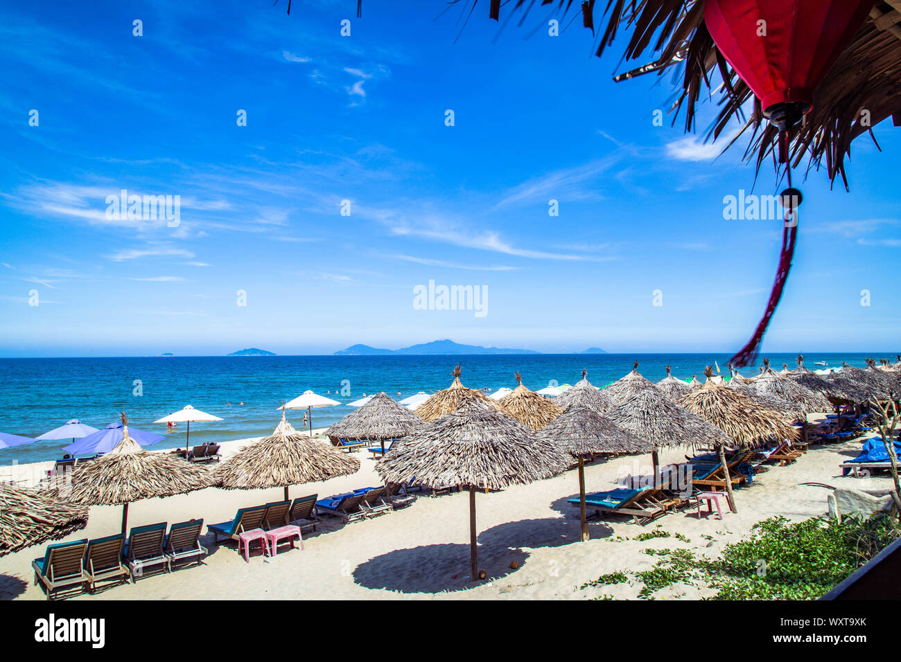 Des parasols de paille sur une plage au Vietnam. Nature paysage tropical. Chaises longues sur la plage de sable. Belle Côte. Banque D'Images