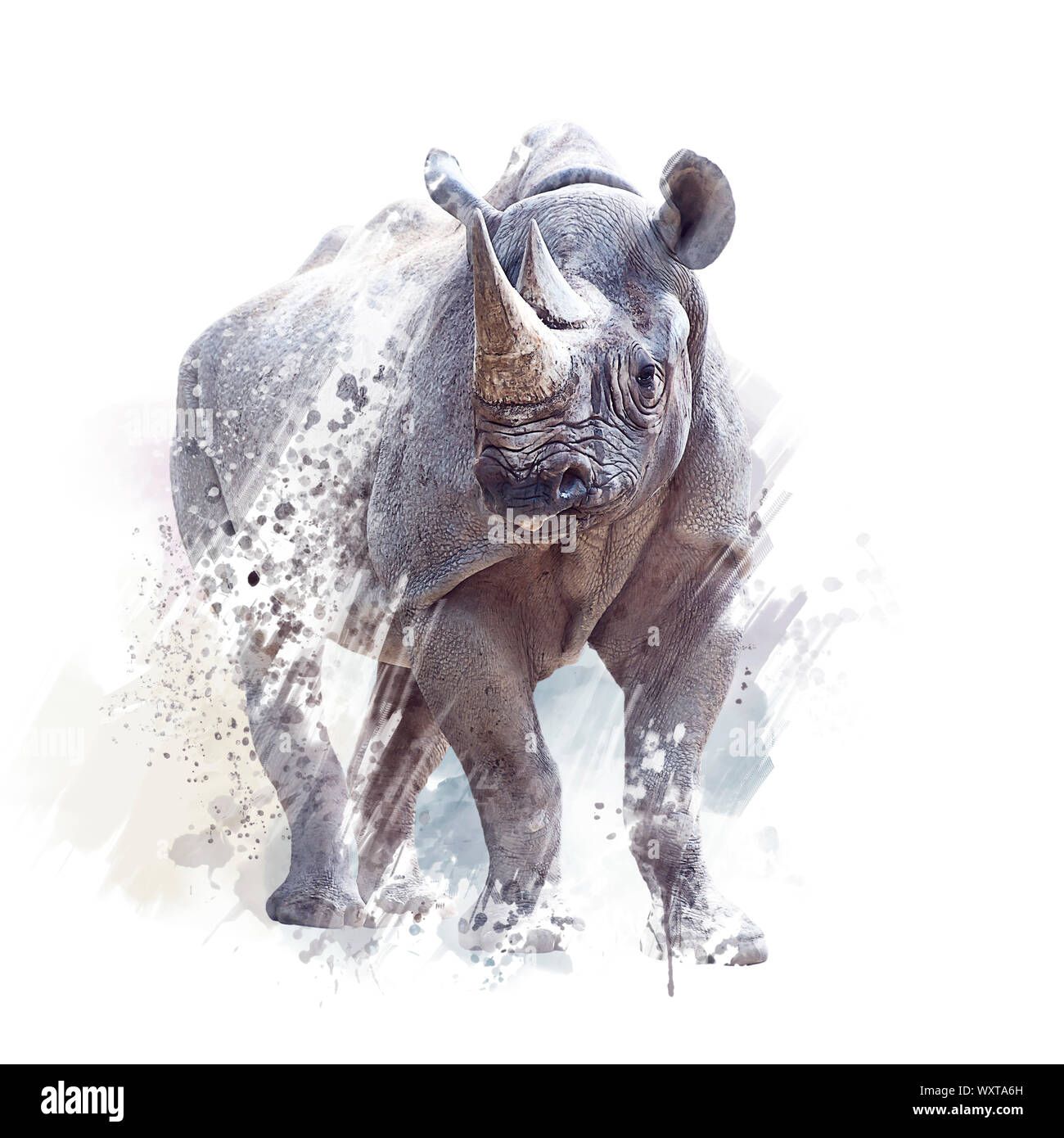 Le rhinocéros noir Aquarelle peinture digitale sur fond blanc Banque D'Images