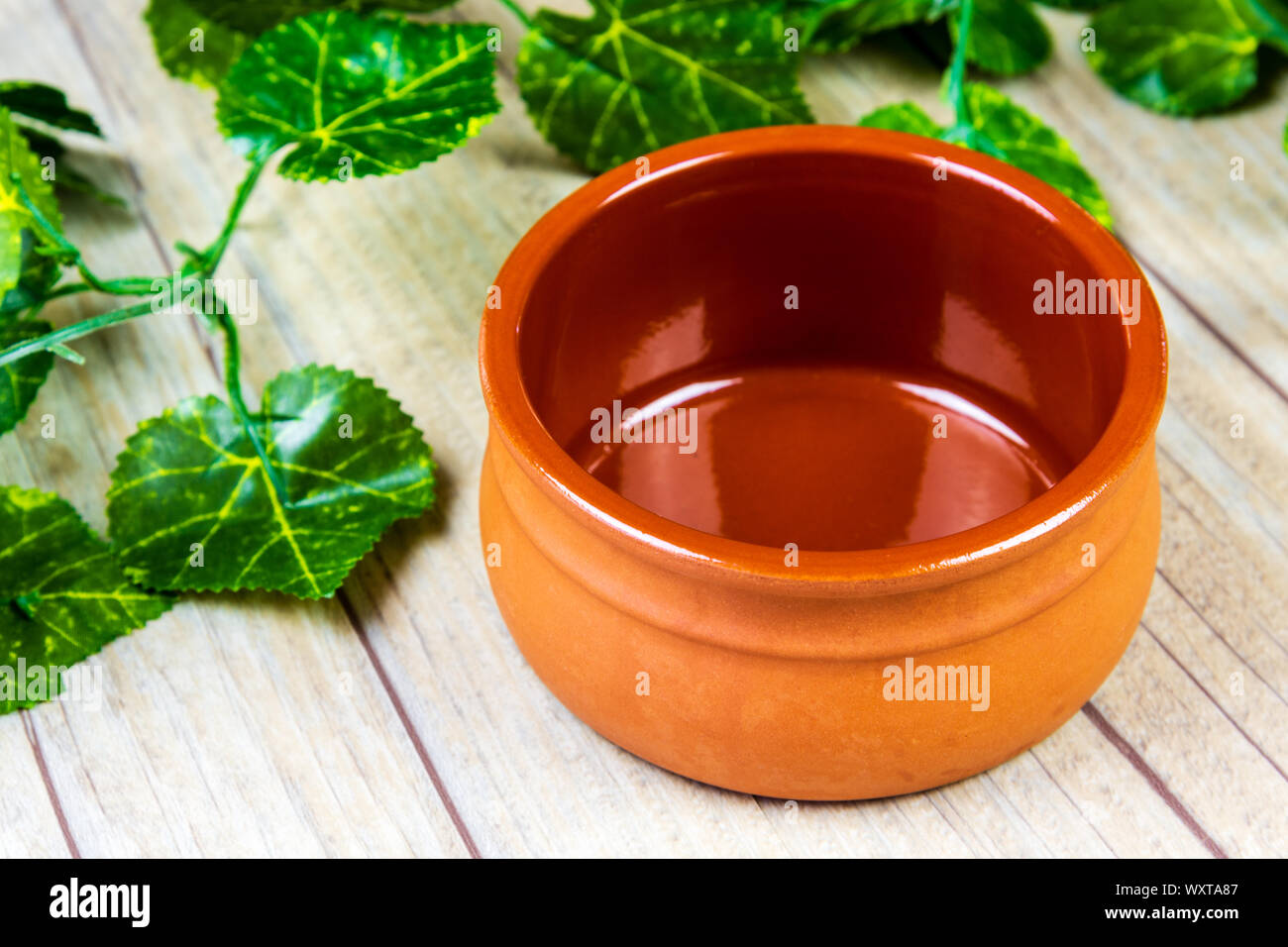 Un bol en terre cuite vide sur un fond de bois avec une plante vine Banque D'Images